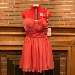 NWT sz 2XL Poly USA chiffon dress